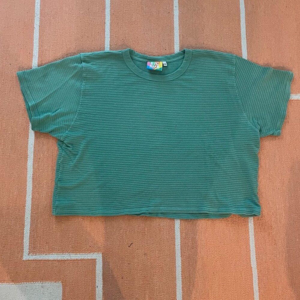 Big Bud Press Honeycomb Crop Top Seafoam Green